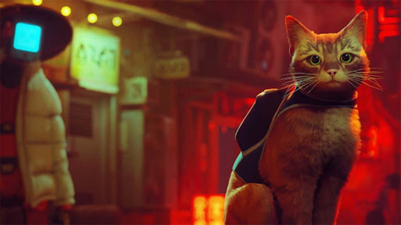 33. Stray